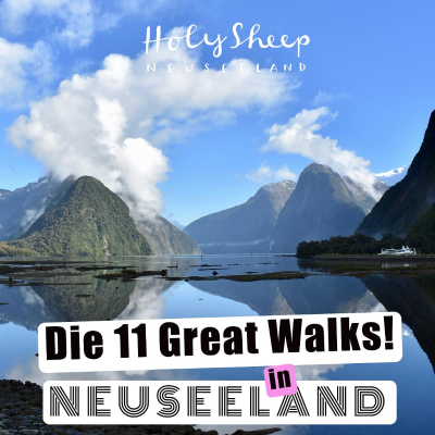 episode 11 Great Walks in Neuseeland - Alles, was du wissen musst! artwork