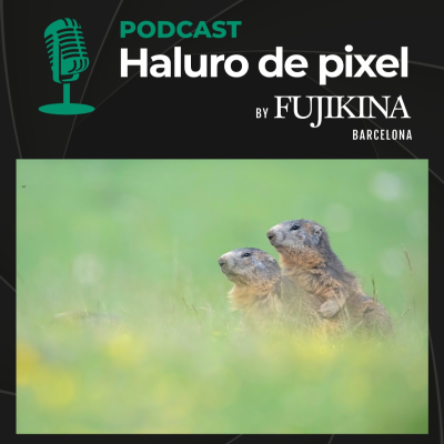 episode Laura Núñez: La fotografía para proteger el medio ambiente - FUJIKINA Barcelona artwork