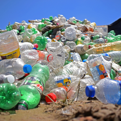 episode „Bakterien verwandeln Plastikmüll in Schmerzmittel“ Was ist dran an der Schlagzeile? artwork
