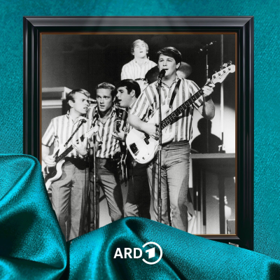 episode The Beach Boys – "Pet Sounds" artwork