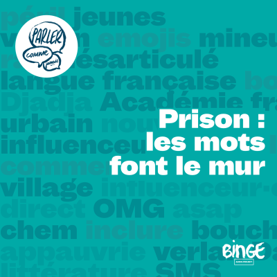 episode Prison : les mots font le mur artwork