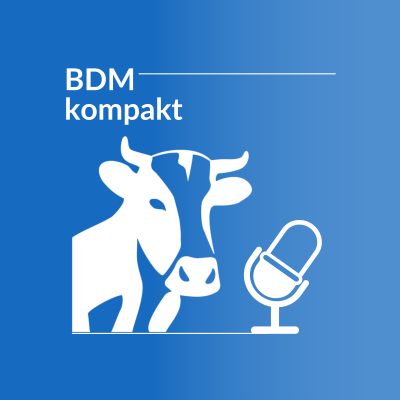 BDM kompakt - podcast