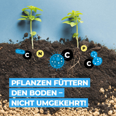 episode Pflanzen füttern den Boden – nicht umgekehrt artwork