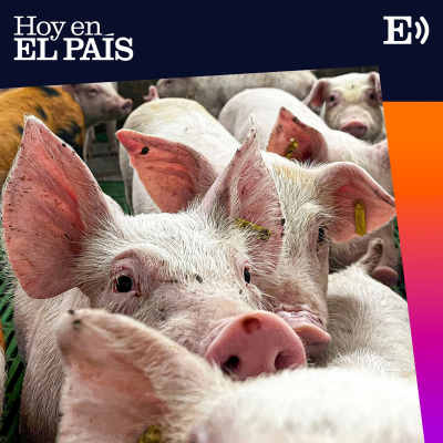 episode ¿Qué significa para España la crisis de la peste porcina? artwork