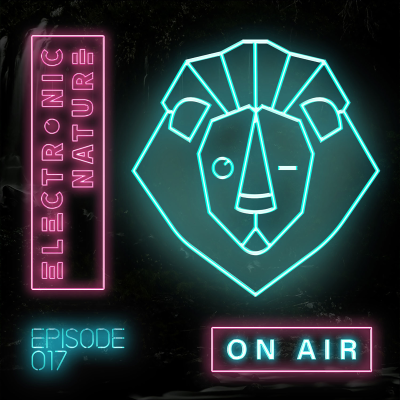 episode Jonas Blue - Electronic Nature Radio Show 017 artwork