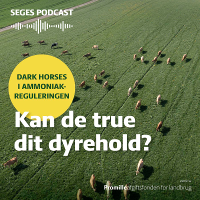 episode Dyrehold i stalden – så pas på dark horses, når din miljøgodkendelse revurderes artwork