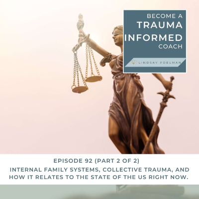 episode IFS, Collective Trauma, & How it relates to the USA - Part 2 of 2 artwork