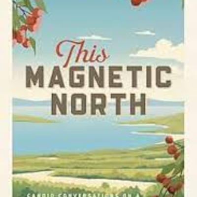 episode Tim Mulherin-This Magnetic North: Candid Conversations on a changing Northern Michigan artwork