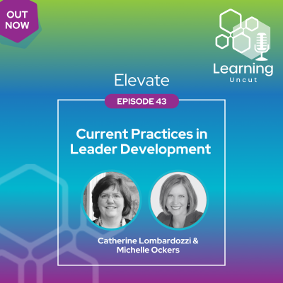 episode Elevate 43: Current Practices in Leader Development artwork
