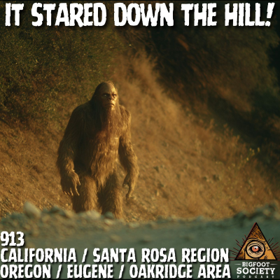 episode They Followed Me to Washington | California artwork