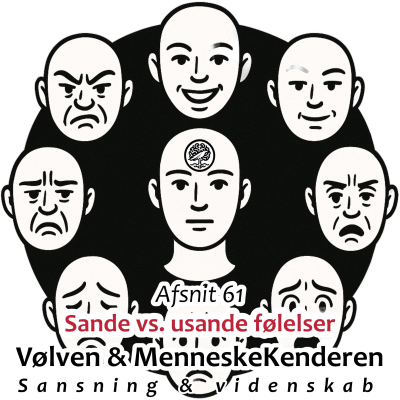 episode Sande vs usande følelser artwork