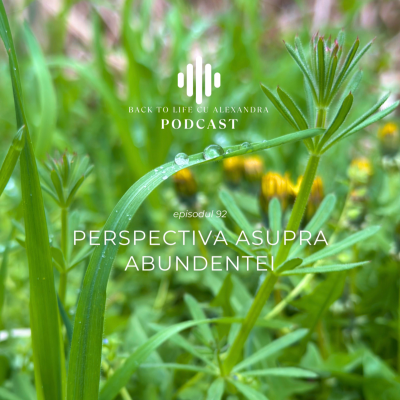 episode Episodul 93: Perspectiva asupra Abundentei artwork