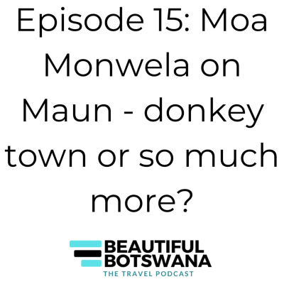 episode 15 - Moa Monwela - Maun: donkey town or so much more? artwork
