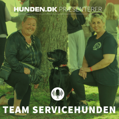 episode Team Servicehunden artwork