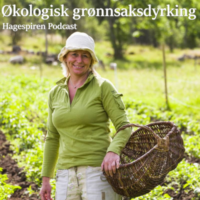 episode 37/25: Økologisk grønnsaksdyrking med Hedda Kortnes artwork