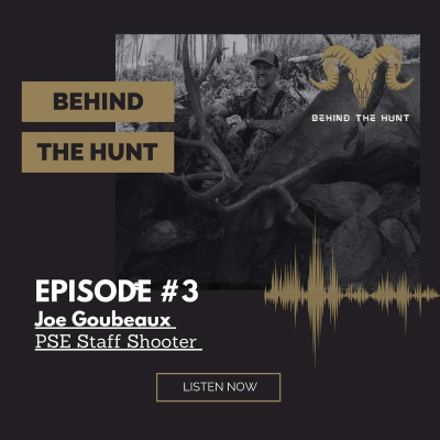 episode Joe Goubeaux artwork