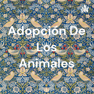 Adopción De Los Animales