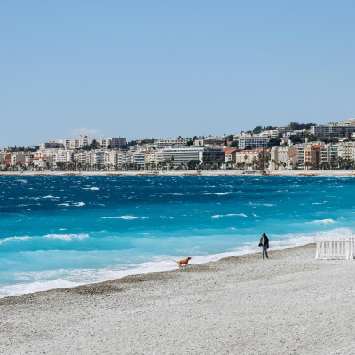 episode Madeira im Advent, Maskenbräuche der Alpen, Winterbaden in Nizza artwork