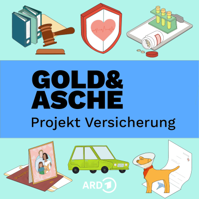 episode Folge 8: Gut abgesichert streiten und reisen artwork