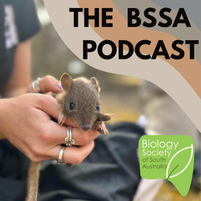 episode Ep. 23 - Marna Banggara: Rewilding Narungga Country with the Yalgi artwork