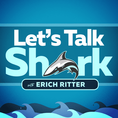 episode Episode 212: And then the dolphins heroically moved in artwork