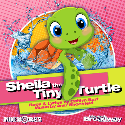 episode Sheila the Tiny Turtle artwork