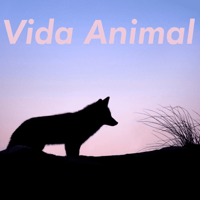 Vida Animal