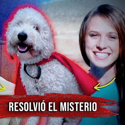 episode Titan, el perrito que RESOLVIÓ un crimen - Caso Mandy Rose Reynolds artwork