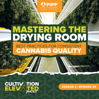 episode 039 - Mastering the Drying Room: Best Practices for Consistent Cannabis Quality artwork