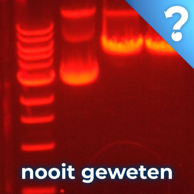 episode #112 Het immuunsysteem van bacteriën artwork