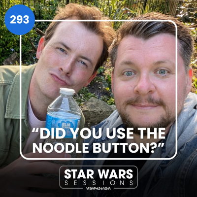 episode "Did You Use The Noodle Button?": Post-Celebration Catchup // #293 artwork
