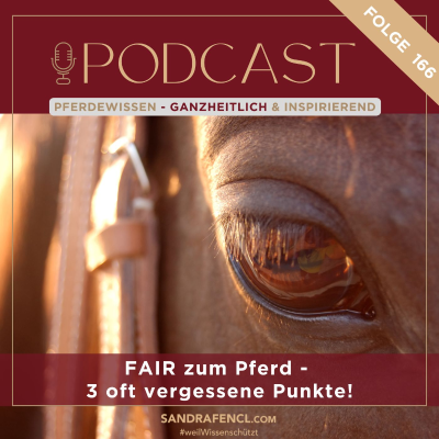 episode 🐴✔ FAIR zum Pferd - 3 oft vergessene Punkte! artwork