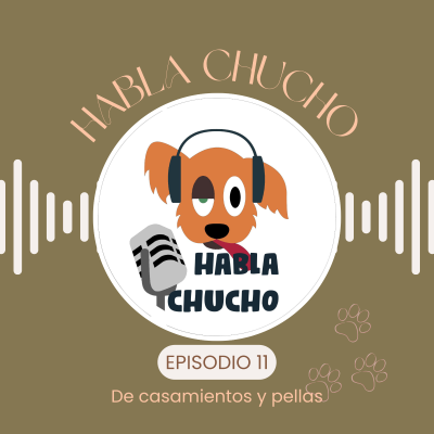 episode Habla Chucho - De casamientos y pellas - Ep11 artwork