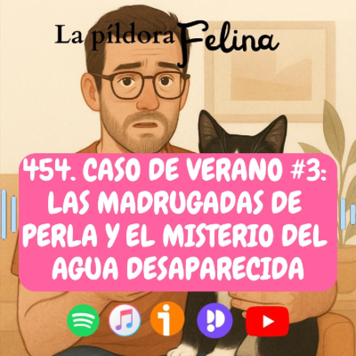 episode 454. Caso de verano #3: Las madrugadas de Perla y el misterio del agua desaparecida artwork