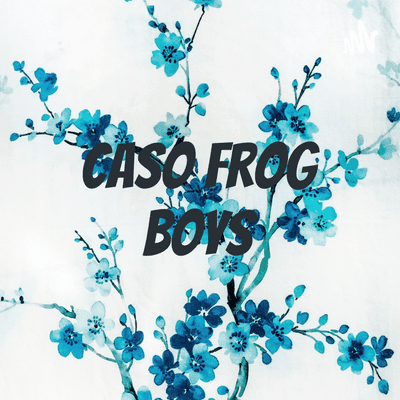Caso Frog Boys