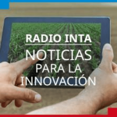 episode Radio INTA: noticias para la innovasión. artwork