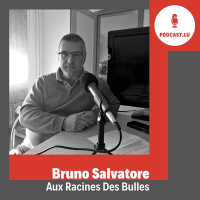 episode #25 Bruno Salvadore - Aux Racines Des Bulles (#business) artwork