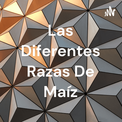 Las Diferentes Razas De Maíz