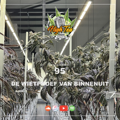 episode #95 | De Wietproef Van Binnenuit artwork