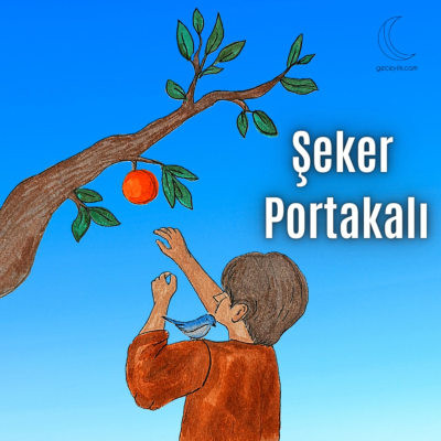episode Şeker Portakalı 2.5 Bölüm "Tatlı ve Garip İstek" 2.Parça artwork