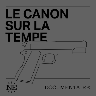 episode Chapitre VII et final : Why not artwork