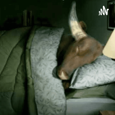 História Pra Boi Dormir
