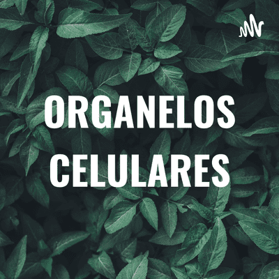 ORGANELOS CELULARES