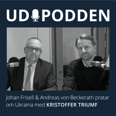 episode #38 Ett år av krig i Ukraina artwork