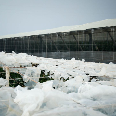 episode Los seguros agrarios, una tabla de salvación al alza artwork
