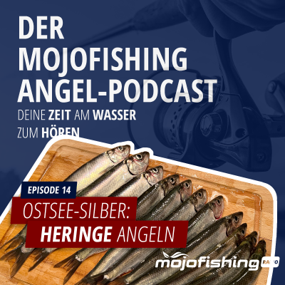 episode Ostsee-Silber: Heringe Angeln artwork