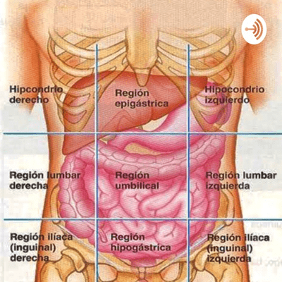 Cuadrantes abdominales