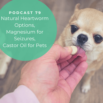 magnesium oil for dog arthritis