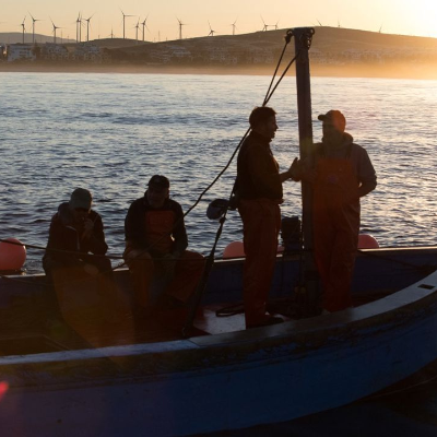 episode Radiografía y retos de la pesca, un sector con futuro artwork