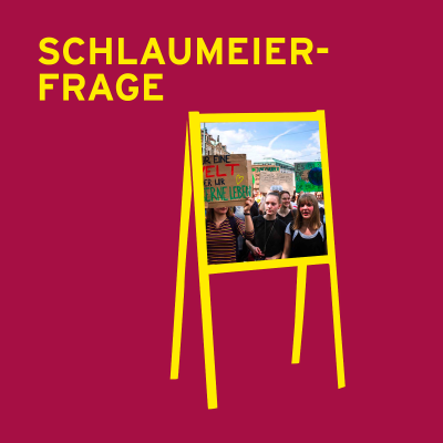 episode Schlaumeierfrage: Was bringt eigentlich demonstrieren? artwork